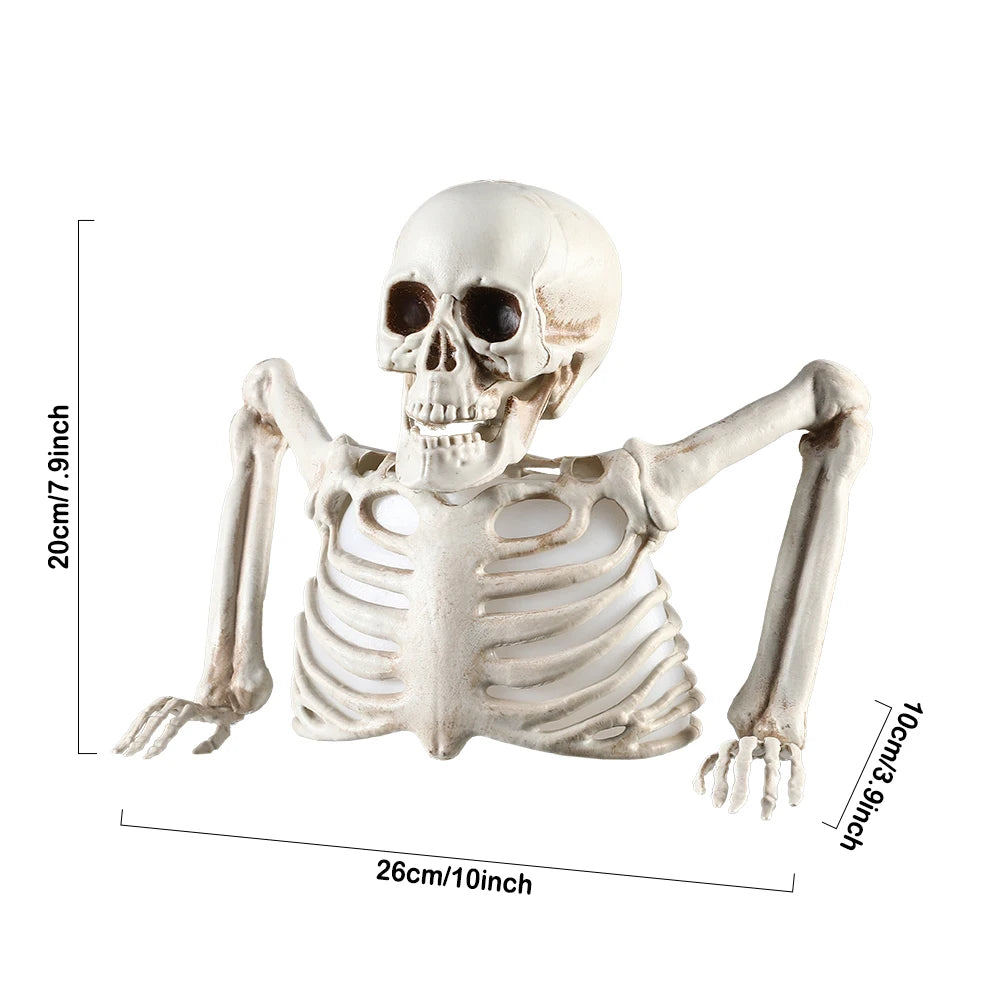 Lumex™-Glowing Skull Skeleton Decoration